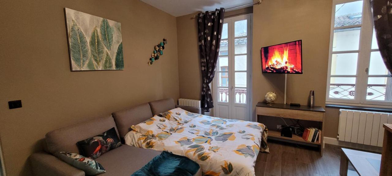 Appartement Le Moulin Vert Carcasona Exterior foto