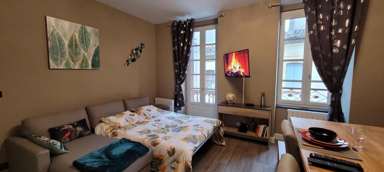 Appartement Le Moulin Vert Carcasona Exterior foto